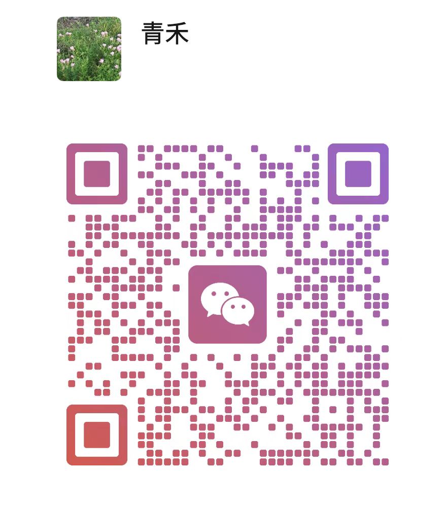 扫码加站长微信-青禾云网创